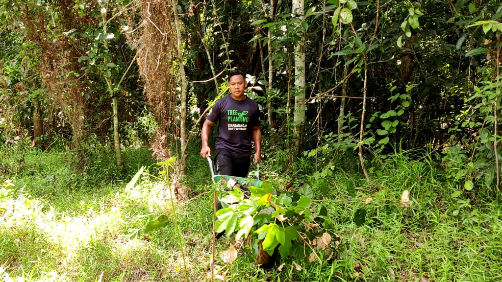 5_Pushing saplings onto site2