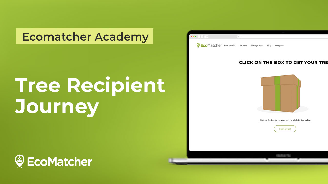 Vid 4 - Tree-Receipt