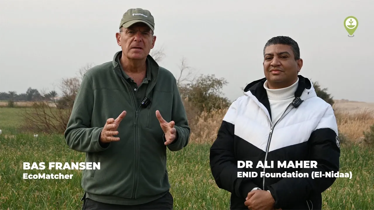 maxresdefault (1) (1)